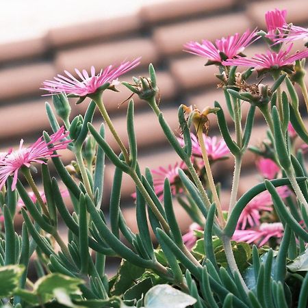 Comecasa Flowery Terraced Apartment Milán Exterior foto